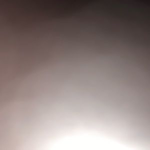 Meet your Posher, Mary jane